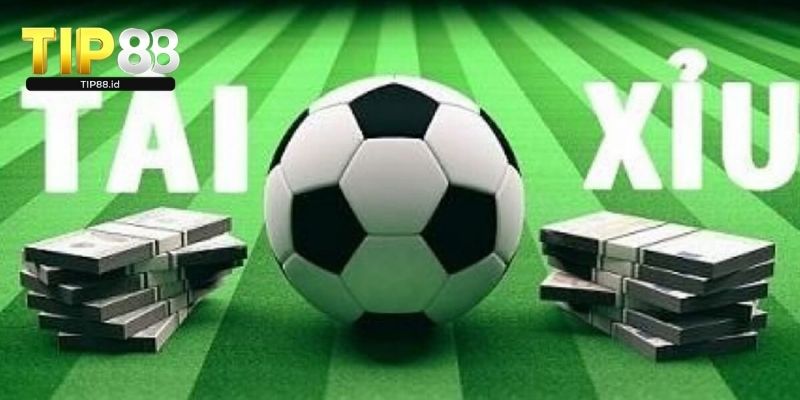 Vài nét sơ lược về cách đọc kèo tài xỉu chuẩn 